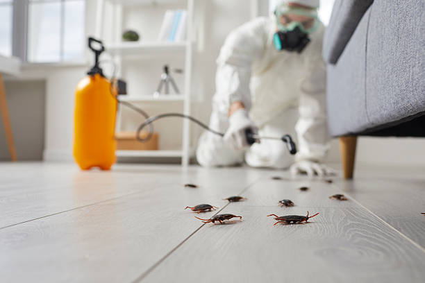 Post-Treatment Bed Bug Interceptor Monitoring in Gonzales