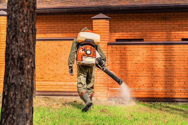 Bed Bug Clearance Verification and Documentation in Gonzales